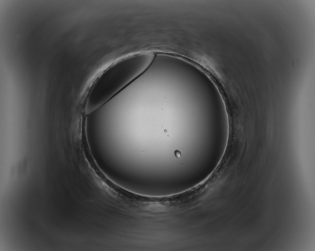 X0000085831504200703231409