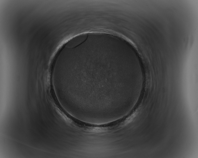 X0000085831506200703231409
