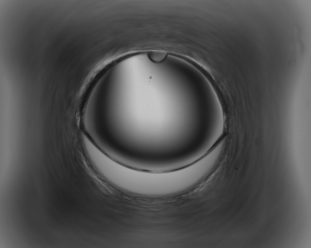 X0000085831507200703231409