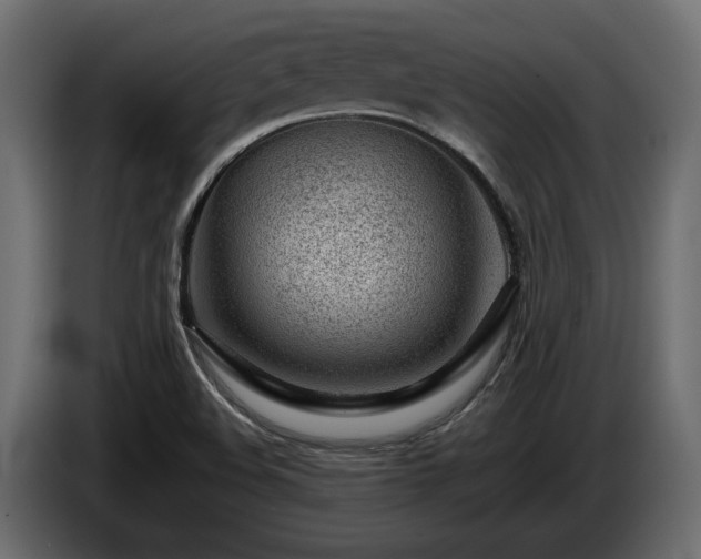 X0000085831508200703231409