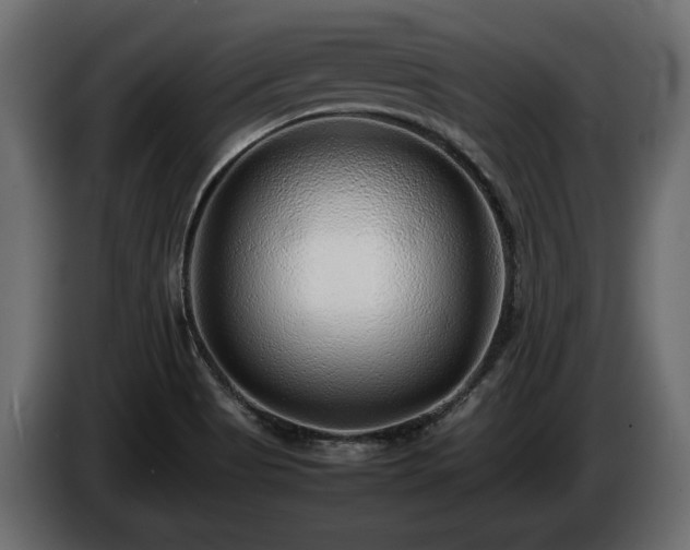 X0000085831513200703231409