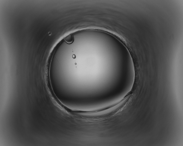 X0000085831518200703231409