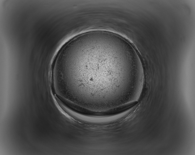 X0000085831519200703231409