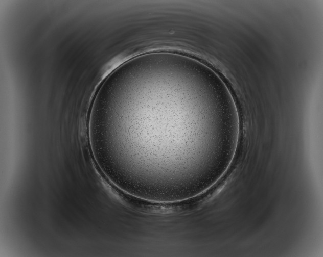 X0000085831521200703231409