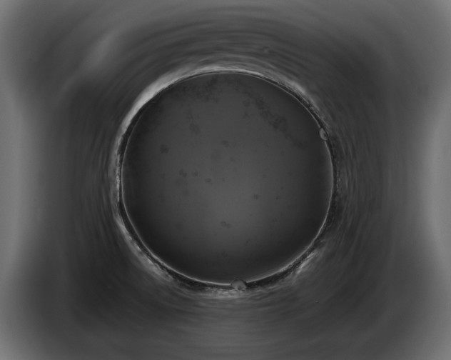 X0000085831522200703231409