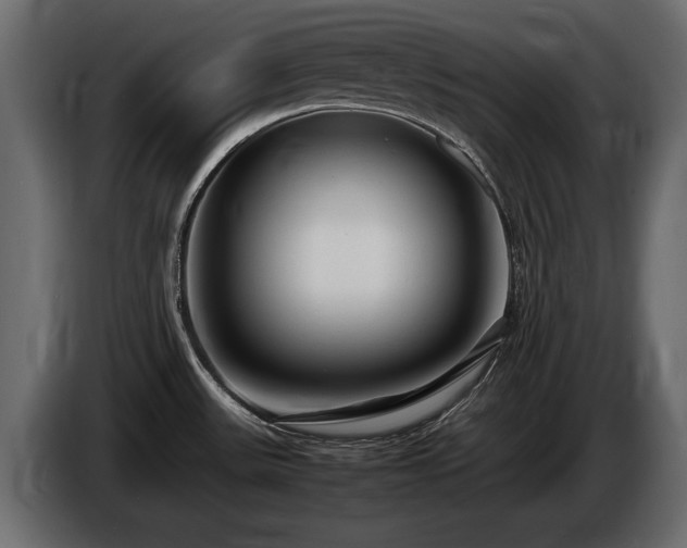 X0000085831531200703231409