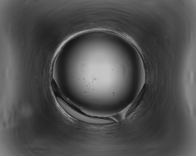 X0000085831532200703231409