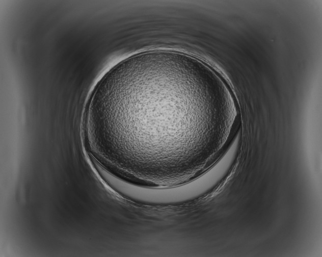 X0000085831533200703231409