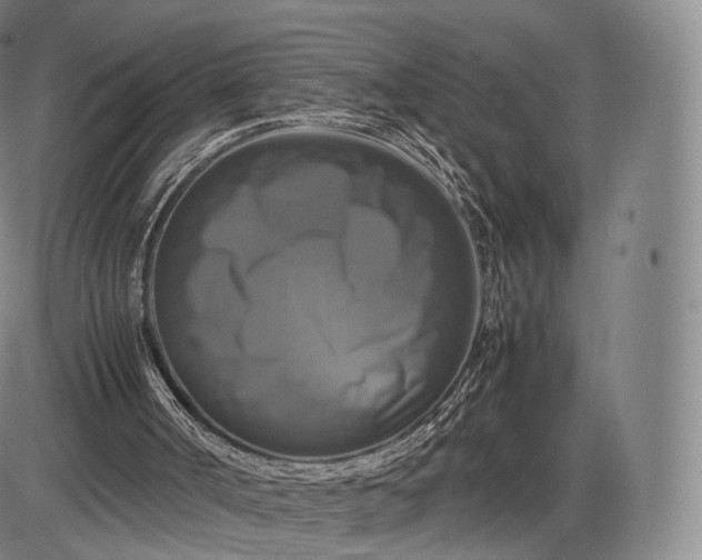 X0000085830002200703301631