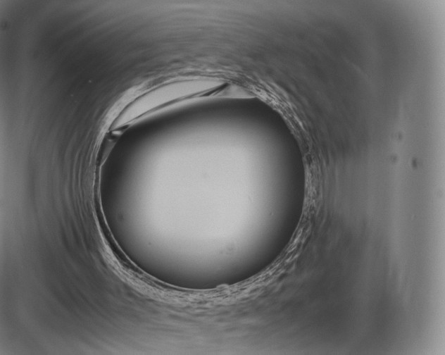 X0000085830003200703301631