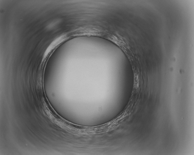 X0000085830004200703301631