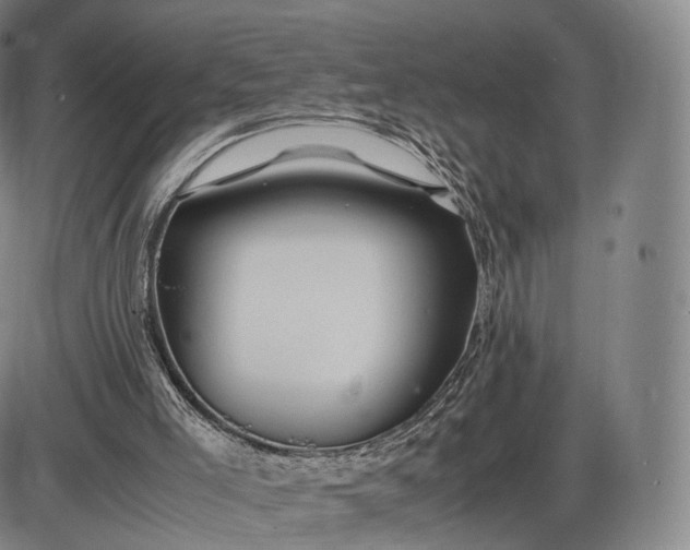 X0000085830005200703301631