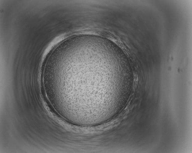 X0000085830006200703301631