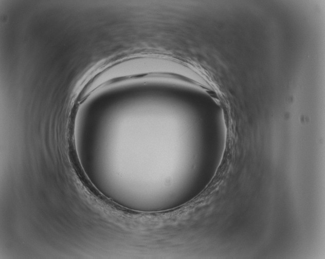 X0000085830007200703301631