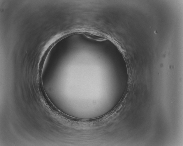 X0000085830008200703301631