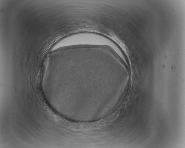 X0000085830009200703301631