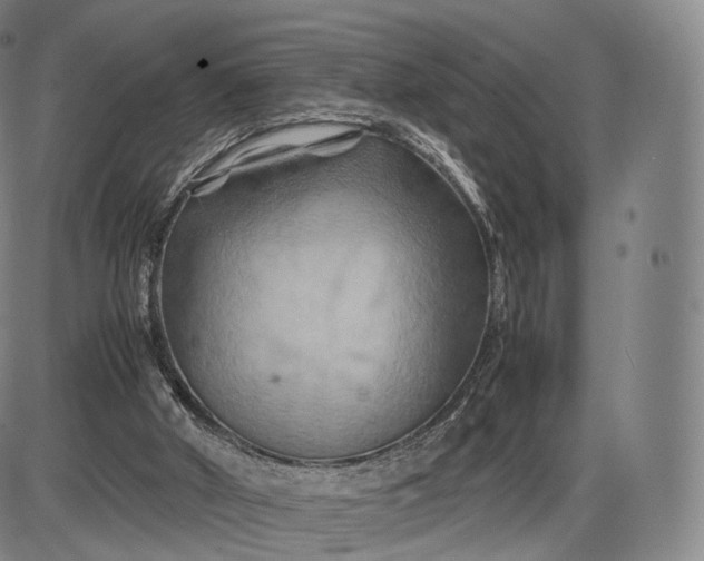 X0000085830010200703301631