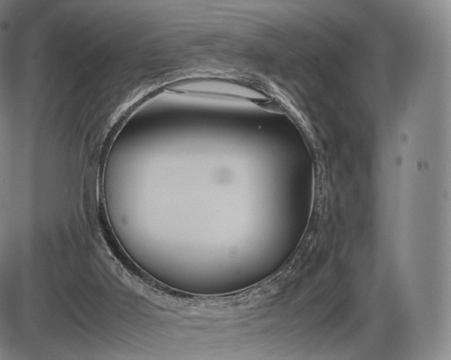 X0000085830011200703301631