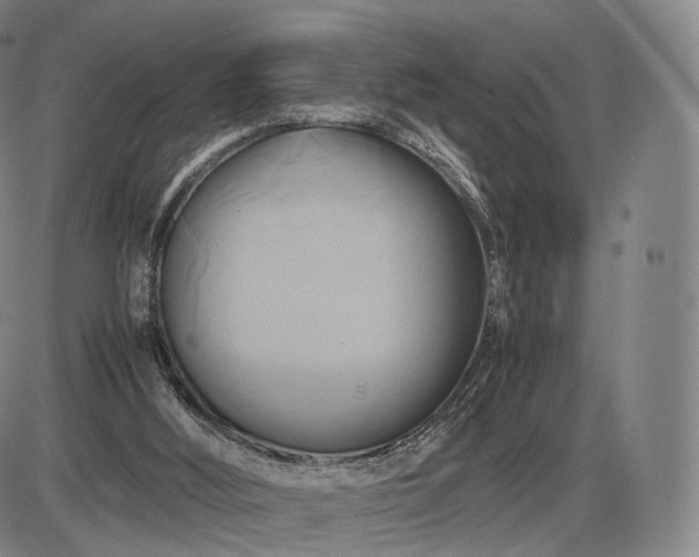 X0000085830012200703301631