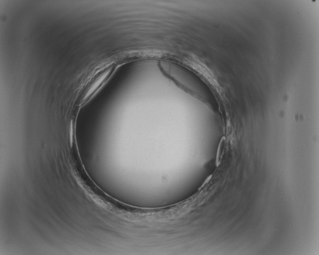 X0000085830013200703301631