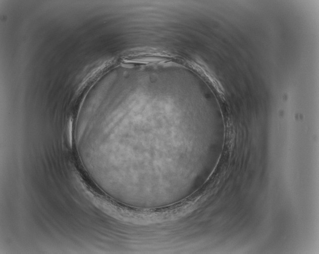 X0000085830014200703301631