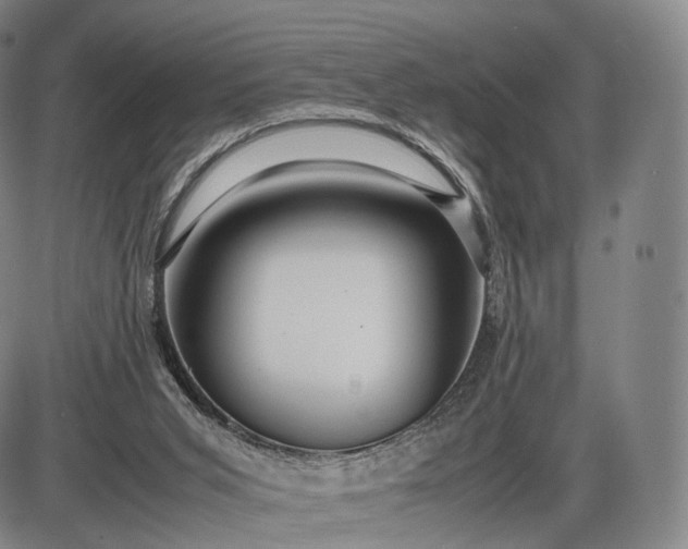 X0000085830015200703301631