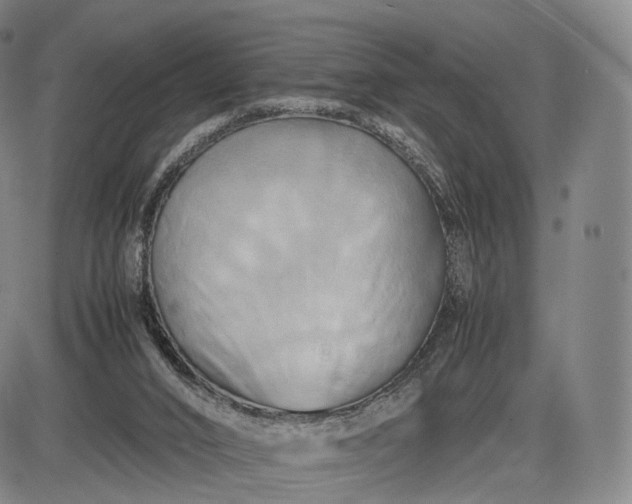 X0000085830016200703301631