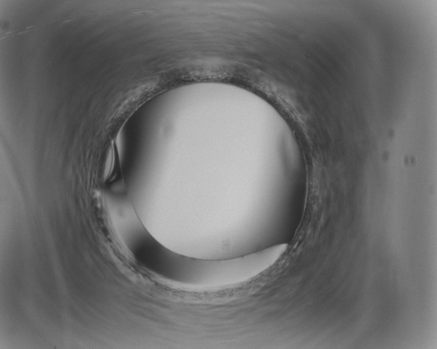 X0000085830017200703301631