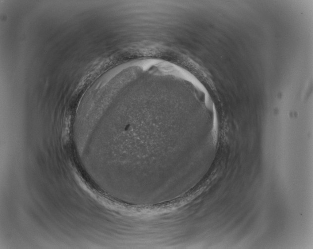 X0000085830018200703301631