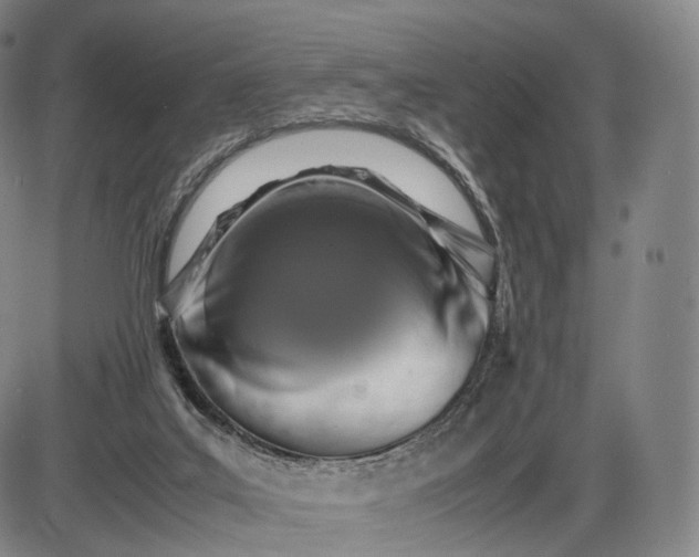 X0000085830019200703301631