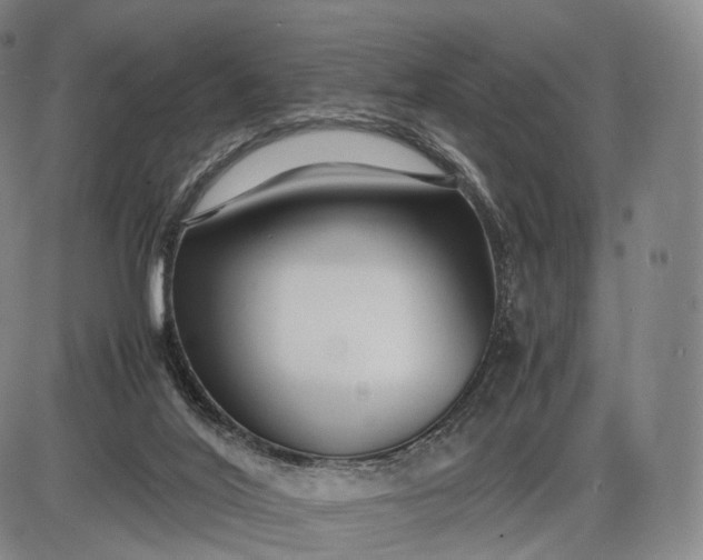 X0000085830020200703301631