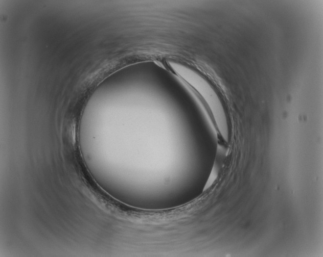 X0000085830021200703301631