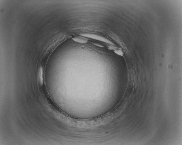 X0000085830022200703301631