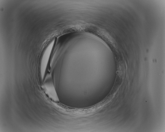 X0000085830023200703301631