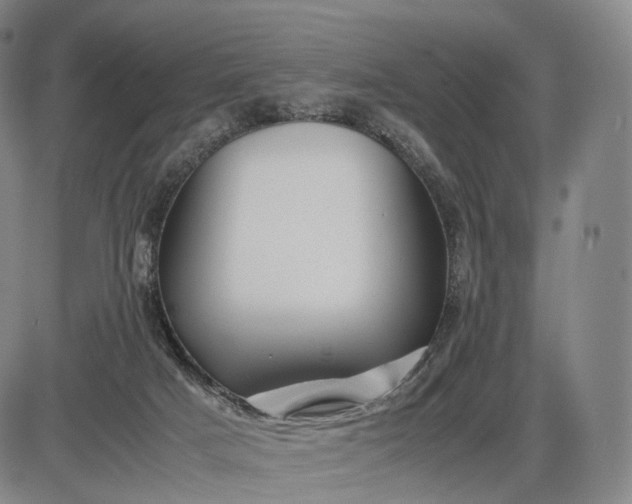 X0000085830025200703301631