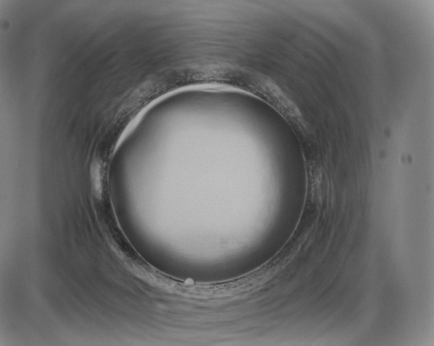 X0000085830026200703301631