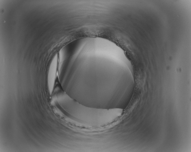 X0000085830027200703301631