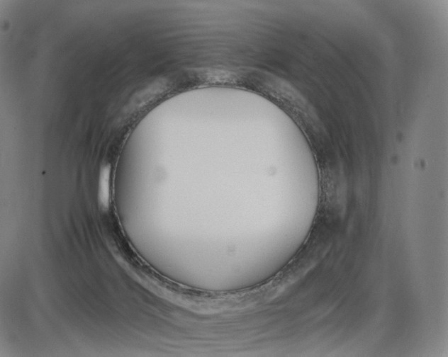 X0000085830028200703301631