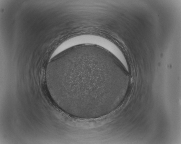 X0000085830029200703301631