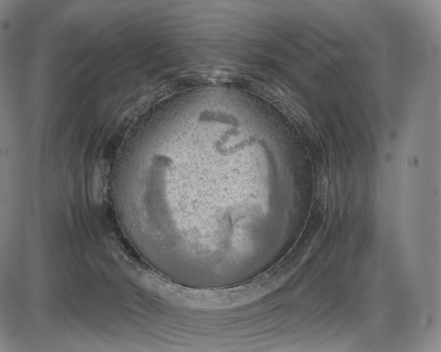 X0000085830030200703301631