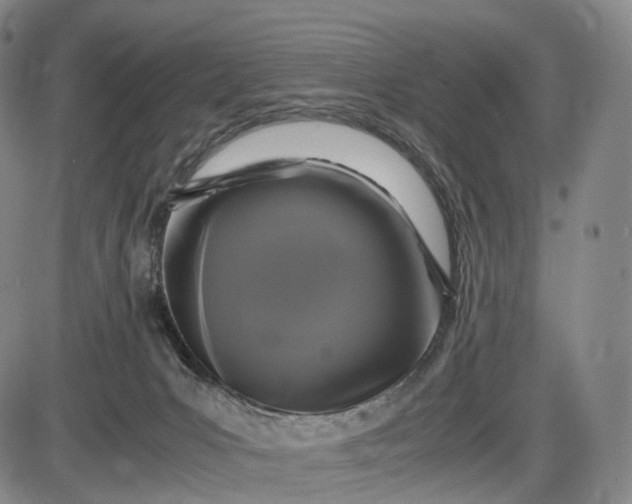 X0000085830031200703301631