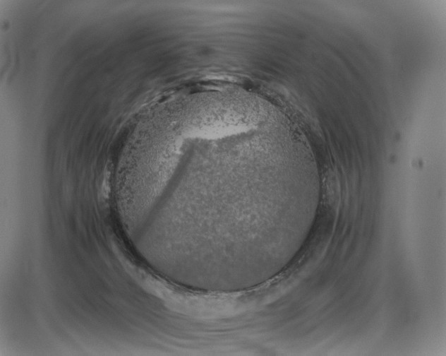 X0000085830032200703301631