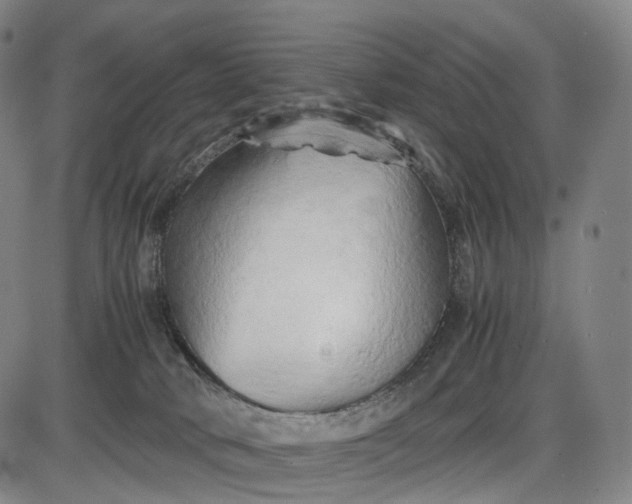 X0000085830034200703301631