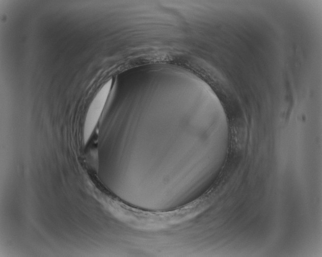 X0000085830035200703301630