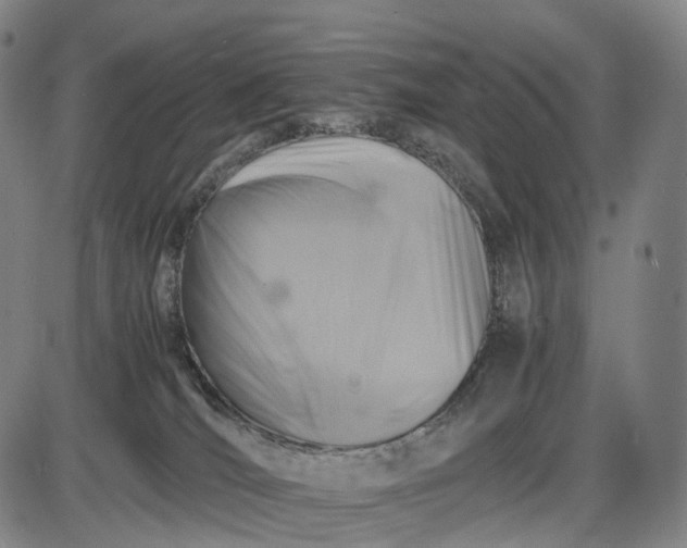 X0000085830036200703301630