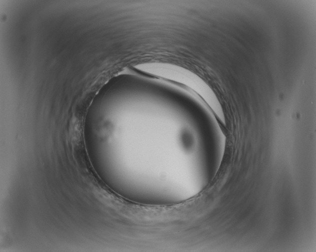 X0000085830037200703301630