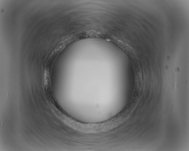 X0000085830038200703301630