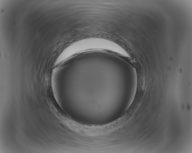 X0000085830039200703301630