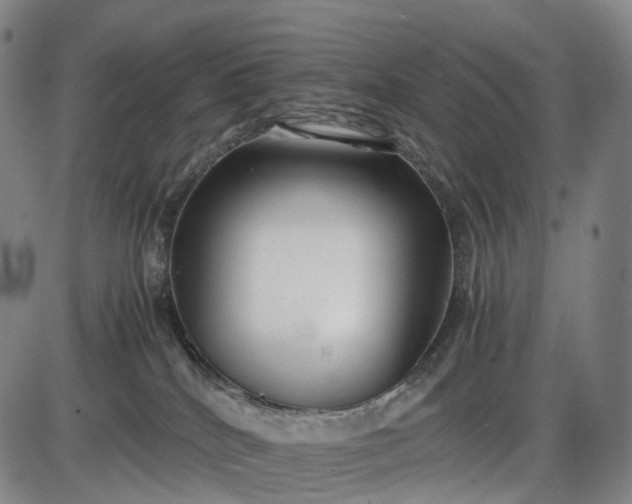 X0000085830040200703301630