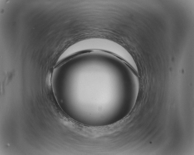 X0000085830041200703301630